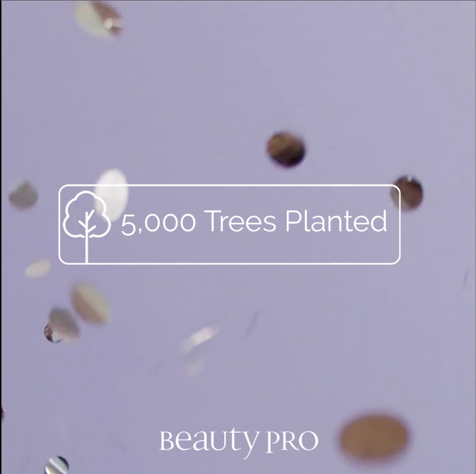 Sustainability: We’ve planted 5,000 trees!