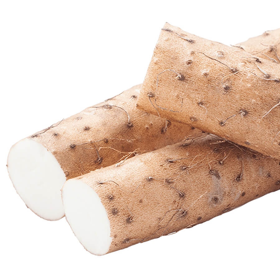 3 pieces of wild yam