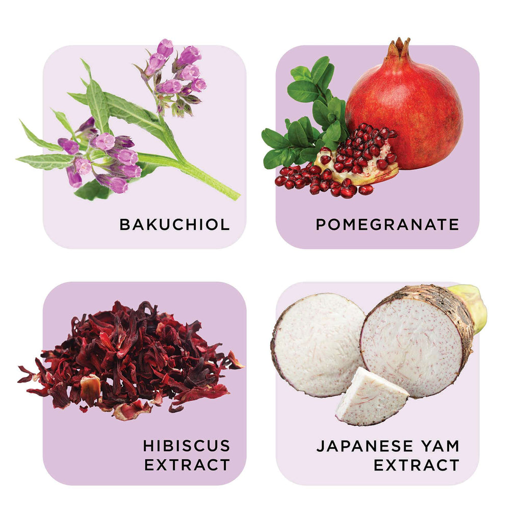 Four square cards displaying different natural ingredients with their names: Bakuchiol, Pomegranate, Hibiscus Extract, and Japanese Yam Extract.